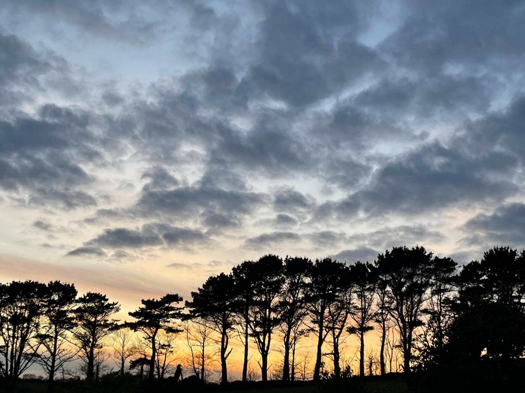 Fowey River Views Eksteriør billede
